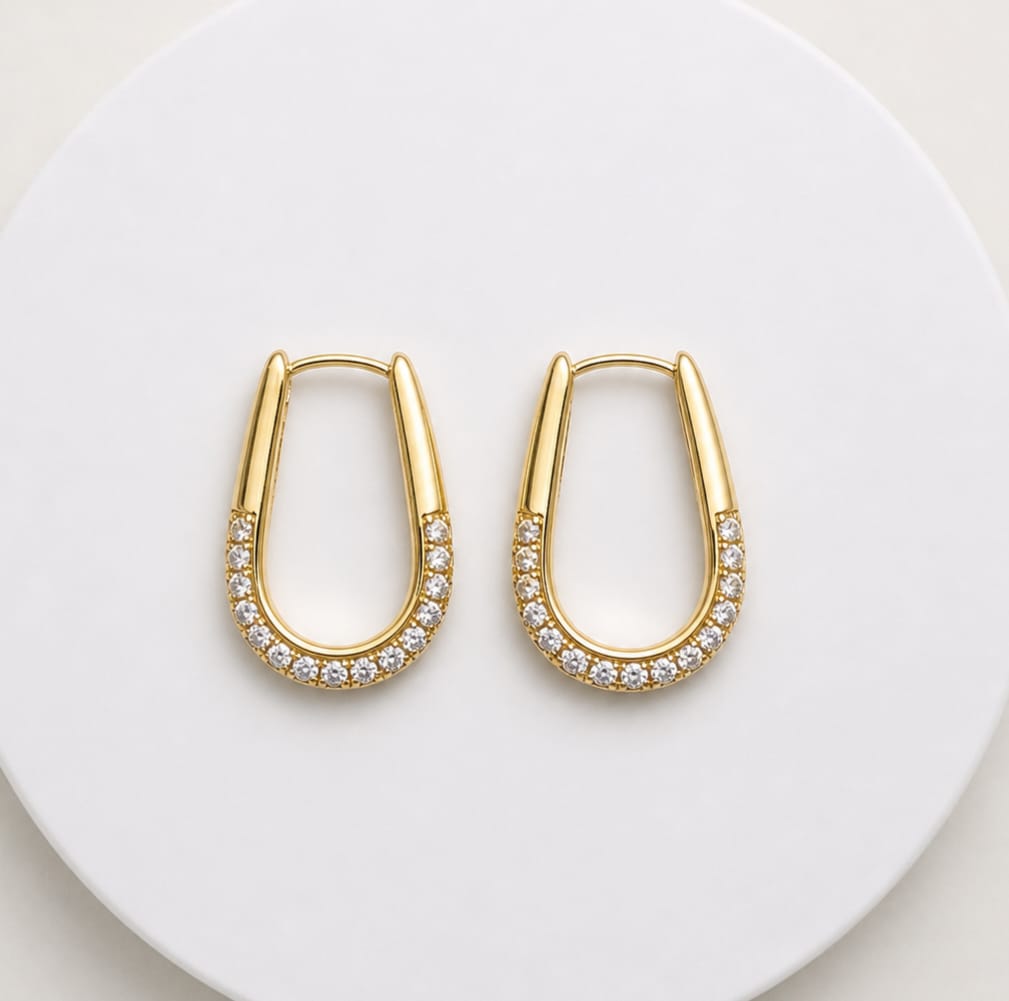 Brinco Argola Microzircônias
